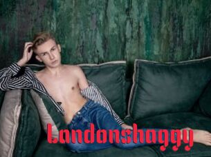 landonshaggy Video Extrait