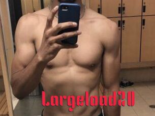 Largeload20