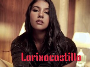 Larixacastillo