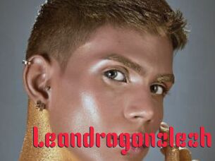 Leandrogonzlezh