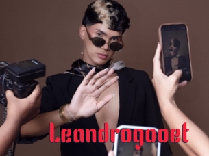 Leandrogooet