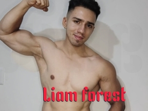 Liam_forest