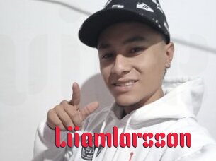 Liiamlarsson