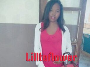 Lillteflower