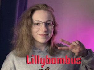 Lillybambus