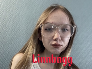 Linnbagg