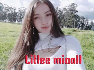 Litlee_miaa11