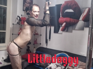 littledoggy Video Extrait