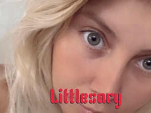littlesary Video Extrait
