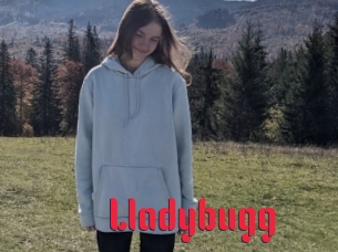 Lladybugg