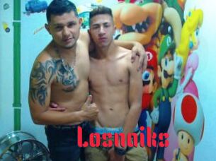Losnaiks