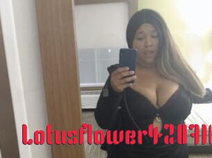 Lotusflower420710