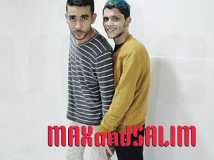 MAXandSALIM