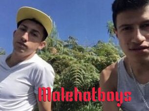 Malehotboys