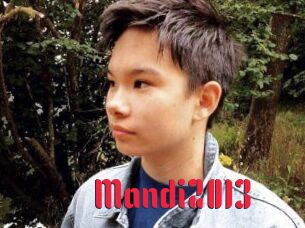Mandi2013