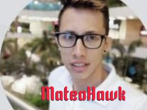 MateoHawk