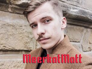 MeerkatMatt