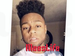 MeesLife