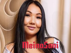 MeinaSani