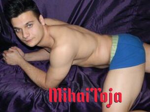 MihaiToja