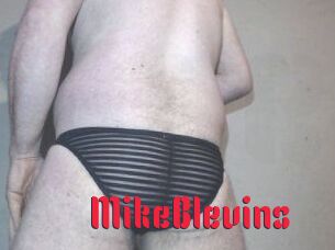 Mike_Blevins