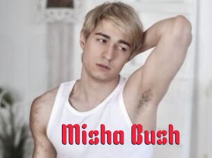 Misha_Bush