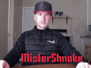 MisterShnake