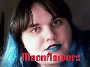 Moonflowers