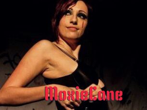 Moxie_Cane