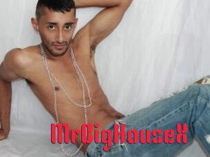 MrBigHouseX