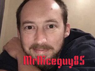 MrNiceguy85