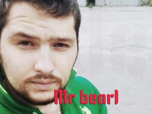 Mr_bear1