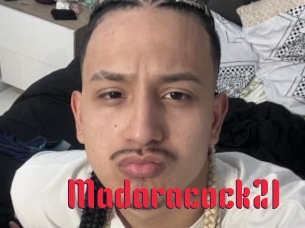 Madaracock21