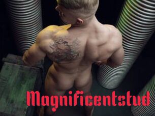 Magnificentstud