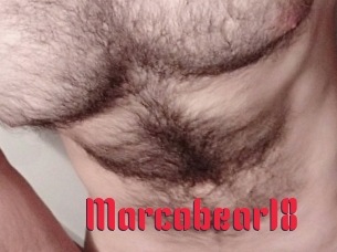 Marcobear18