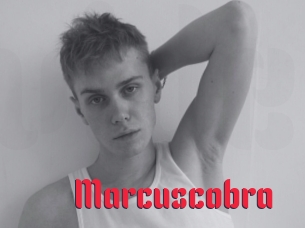 Marcuscobra