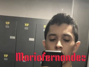 Mariofernandez