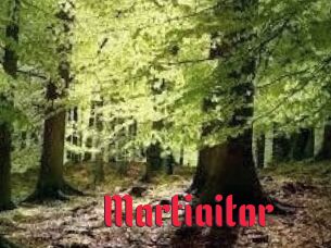 Martiaitor