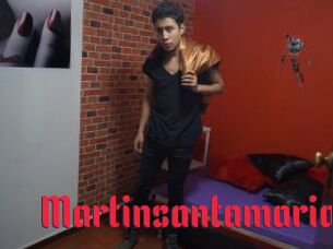 Martinsantamaria