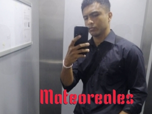 Mateoreales