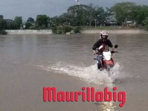 Maurillobig