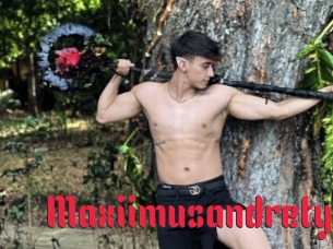 Maxiimusandrety