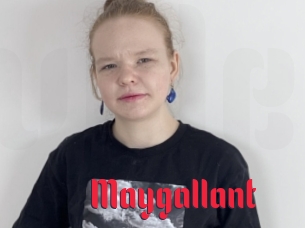 Maygallant