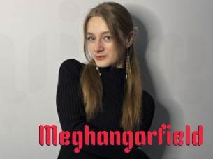 Meghangarfield