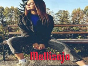 Mellisajo