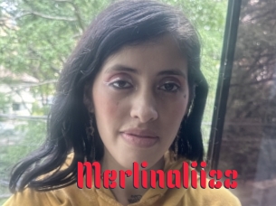 Merlinaliizz