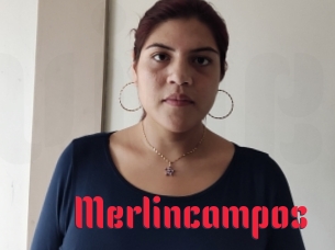 Merlincampos