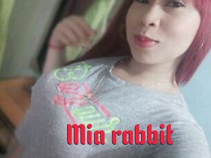 Mia_rabbit
