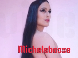 Michelebosse