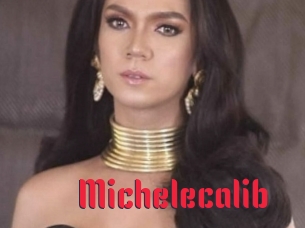 Michelecalib